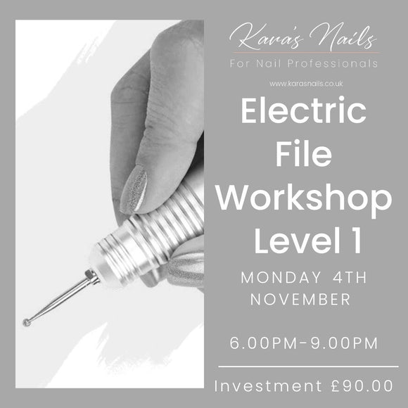 E-File Level 1 Workshop 4th November Booking Fee